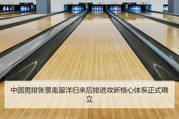 zhong-guo-nan-pai-zhang-jing-yin-liu-yang-gui-lai-hou-pai-jin-gong-xin-he-xin-ti-xi-zheng-shi-que-li-2-858.jpg
